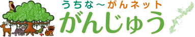 うちな～がんネットがんじゅう