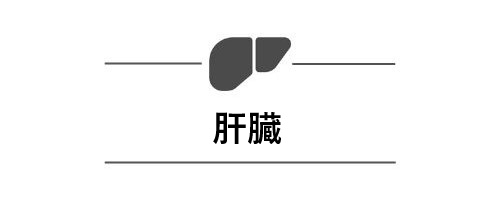 肝臓