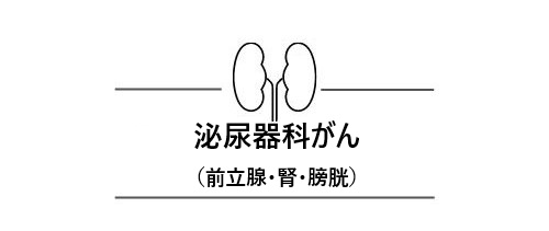 泌尿器科がん（前立腺、腎、膀胱）