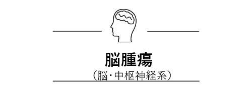 脳腫瘍（脳・中枢神経系）