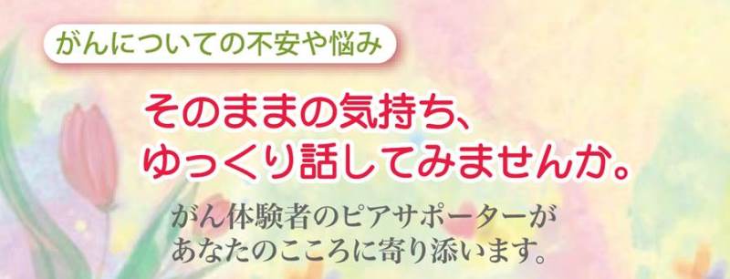 沖縄県地域統括相談支援センター